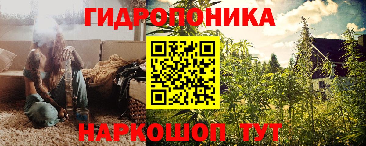 Бошки марихуана AK-47 Кохма